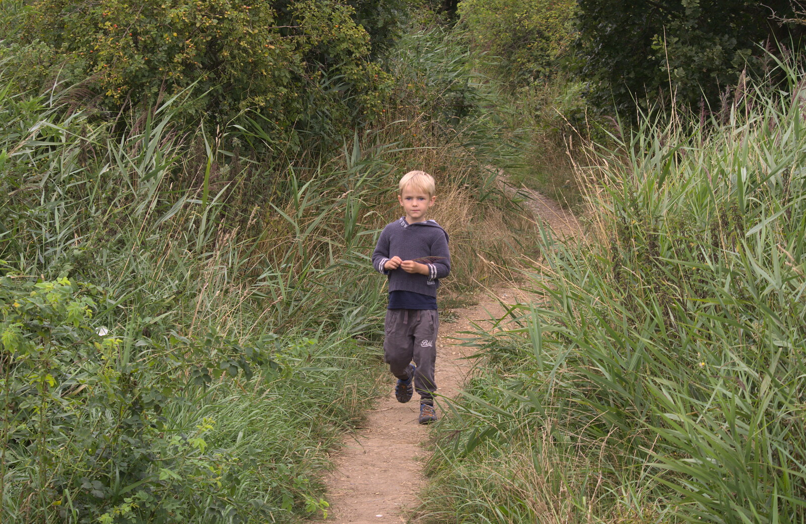 Harry walks down a path from A Trip to Waxham Sands,  Horsey, Norfolk - 27th August 2016