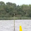 A cormorant stretches its wings, A Trip to Waxham Sands,  Horsey, Norfolk - 27th August 2016