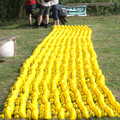 The Eye Scouts Duck Race, The Pennings, Eye, Suffolk - 24th September 2016, One or two rubber ducks down at the Pennings