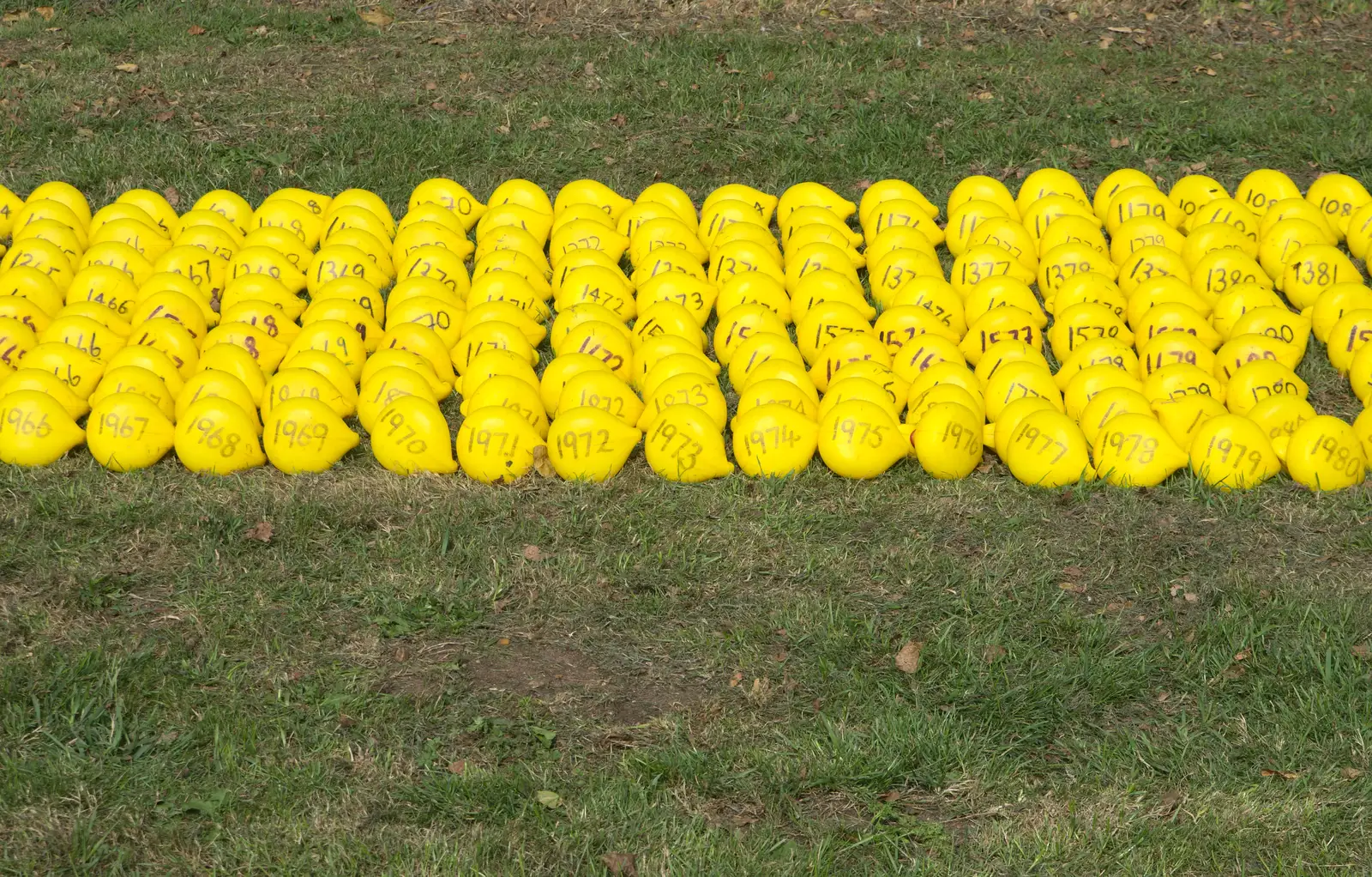 Numbered ducks, from The Eye Scouts Duck Race, The Pennings, Eye, Suffolk - 24th September 2016