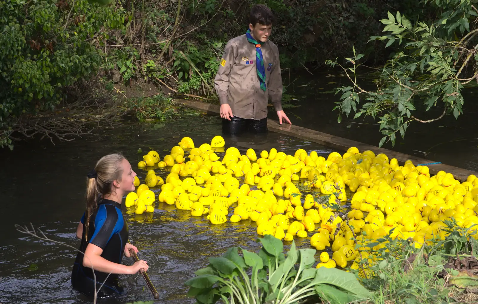 A blockade of ducks, from The Eye Scouts Duck Race, The Pennings, Eye, Suffolk - 24th September 2016