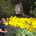 A blockade of ducks, The Eye Scouts Duck Race, The Pennings, Eye, Suffolk - 24th September 2016