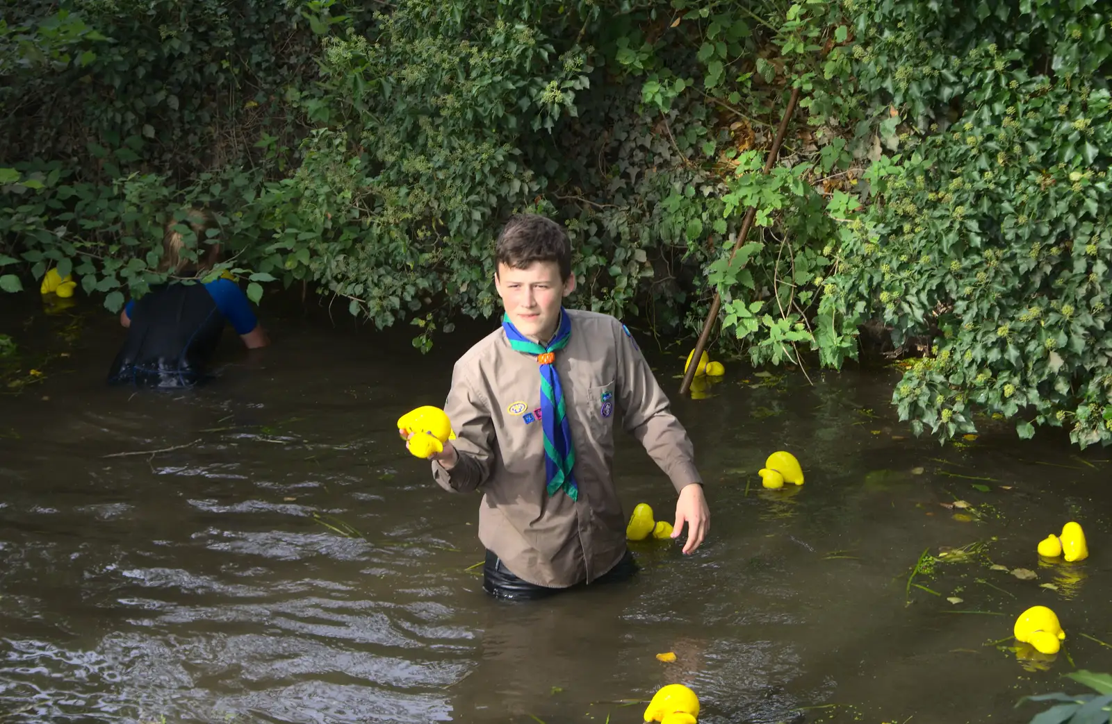 Stray ducks are picked up, from The Eye Scouts Duck Race, The Pennings, Eye, Suffolk - 24th September 2016