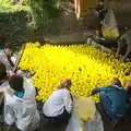 The ducks are all picked out of the river, The Eye Scouts Duck Race, The Pennings, Eye, Suffolk - 24th September 2016