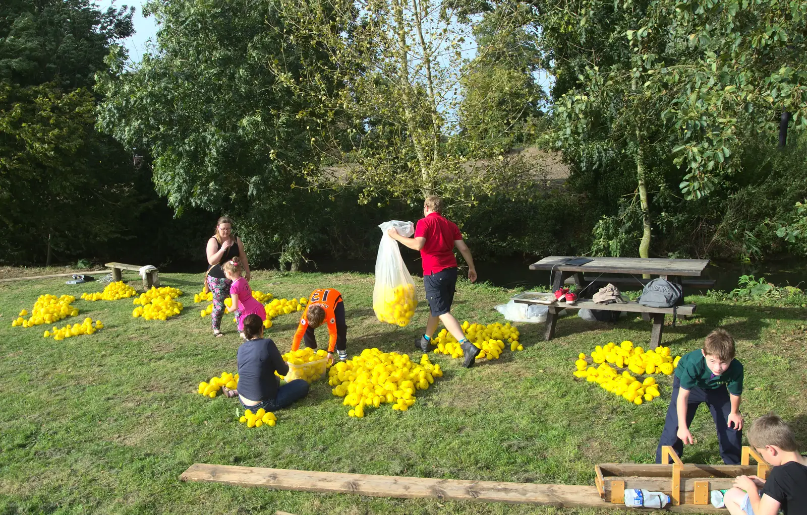 The ducks are bagged up, from The Eye Scouts Duck Race, The Pennings, Eye, Suffolk - 24th September 2016