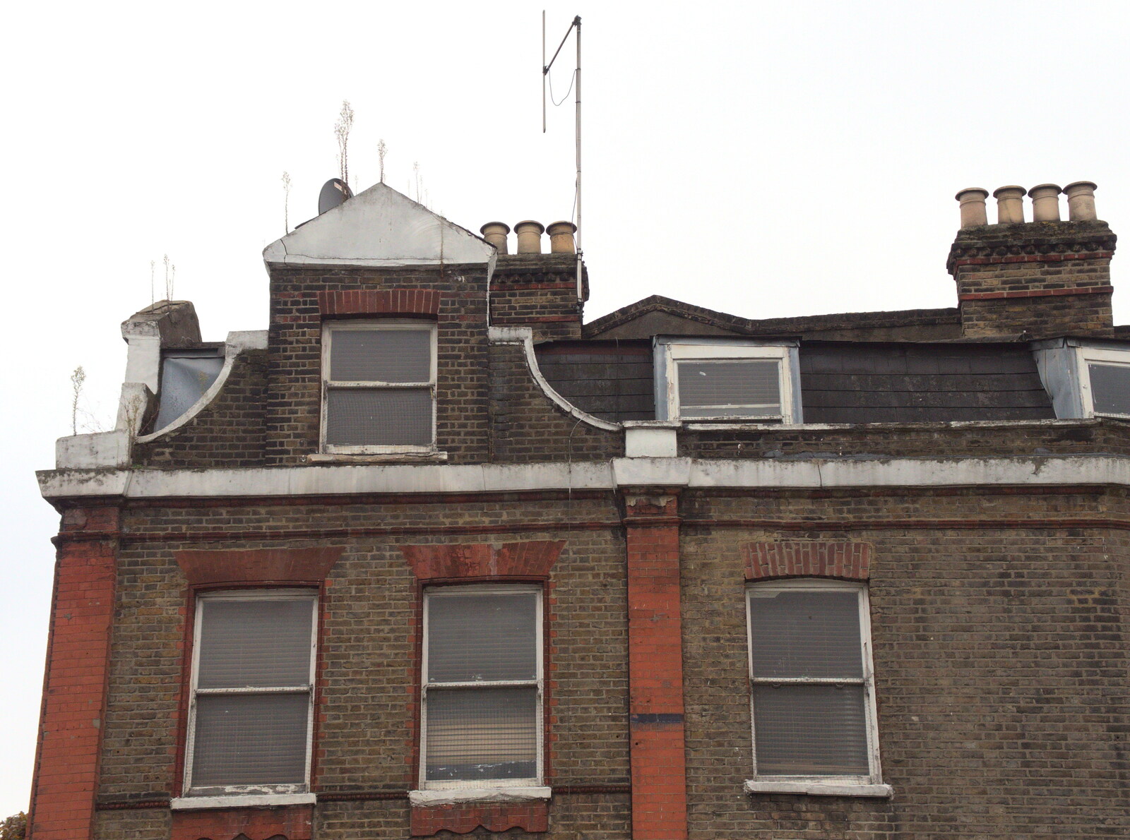 Plants grow out of a building roof from Droidcon 2016, Islington, London - 27th October 2016