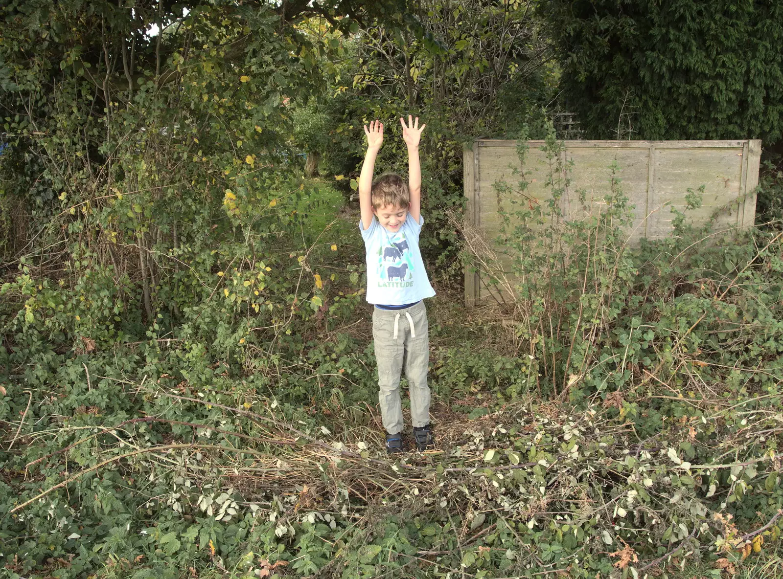 Fred sticks his hands up through the nettles, from Tractor Rides and Pub Cellars, Brome, Suffolk - 29th October 2016