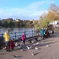 Pigeons down at the Mere in Diss, Tractor Rides and Pub Cellars, Brome, Suffolk - 29th October 2016