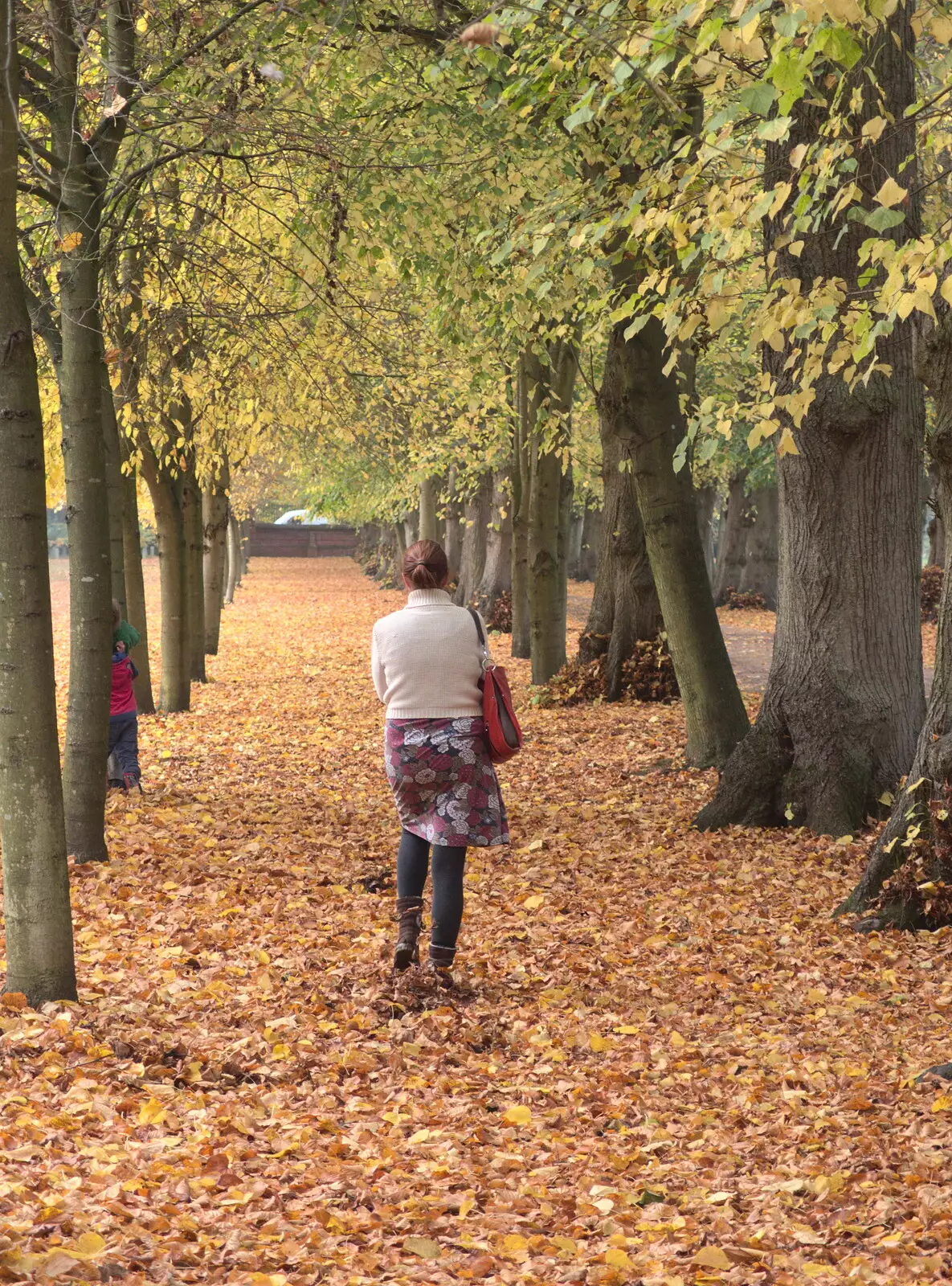 Isobel roams around, from Apples and Electromagnets, Norfolk and Suffolk - 6th November 2016