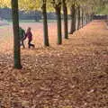 The boys run around some more, Apples and Electromagnets, Norfolk and Suffolk - 6th November 2016