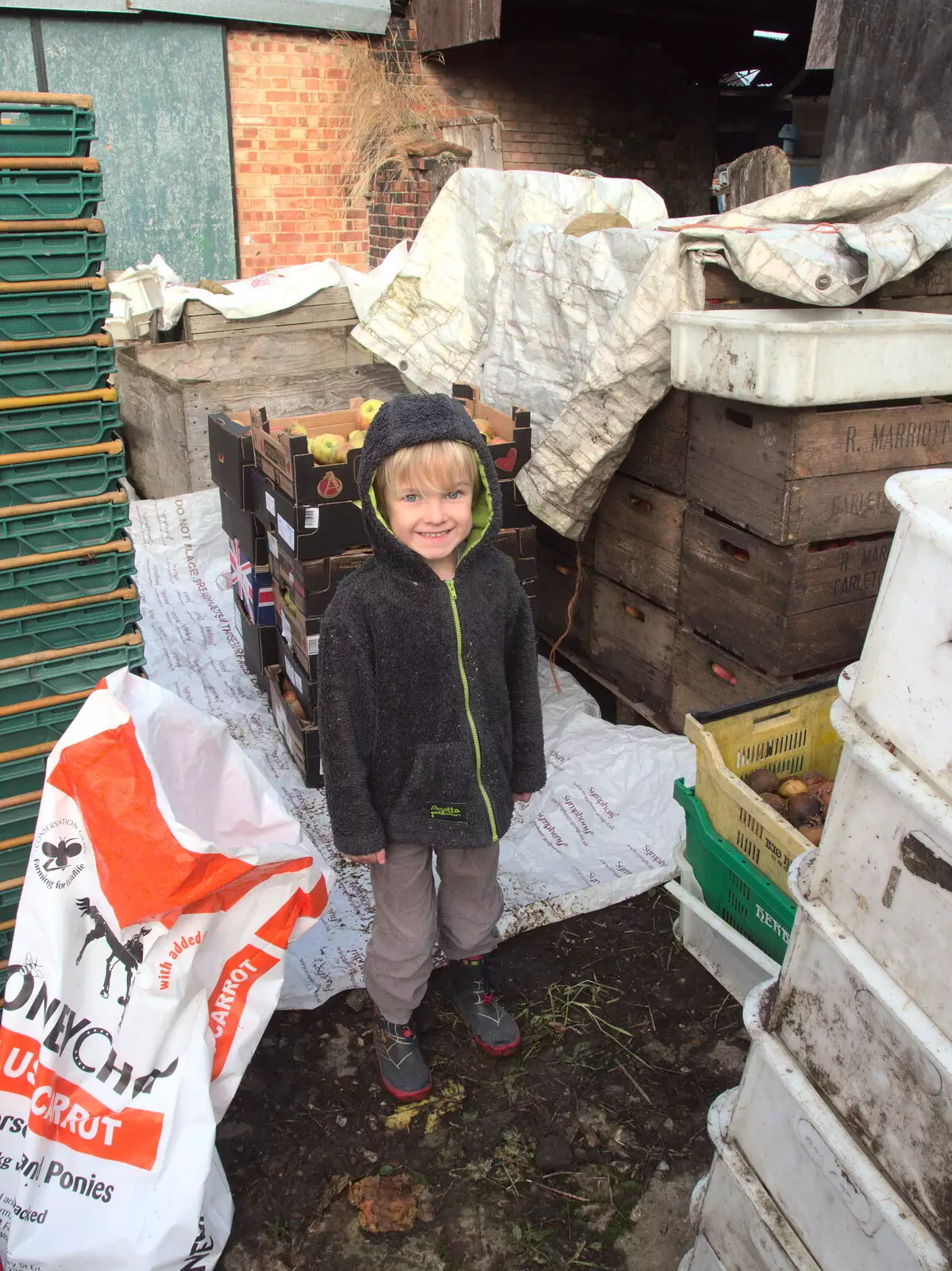 Harry stands in front of the harvest, from Apples and Electromagnets, Norfolk and Suffolk - 6th November 2016