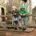 The boys lean over the side of the ship, Apples and Electromagnets, Norfolk and Suffolk - 6th November 2016