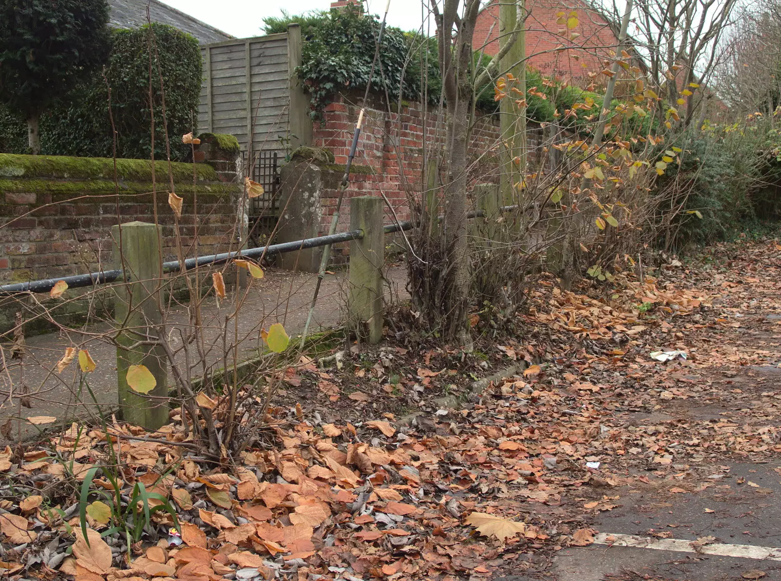 Leaves pile up by the edge of the car park, from The BSCC Christmas Dinner at The Swan Inn, Brome, Suffolk - 3rd December 2016