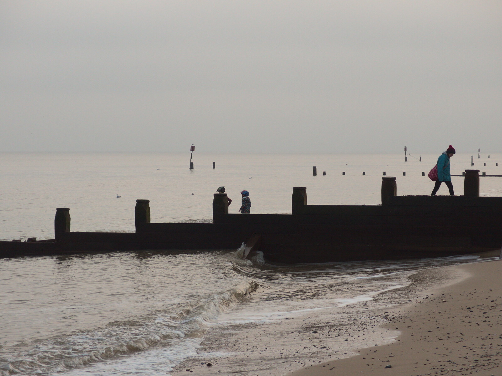 Isobel roams by the groynes from Southwold Seaside Pier, Southwold, Suffolk - 18th December 2016