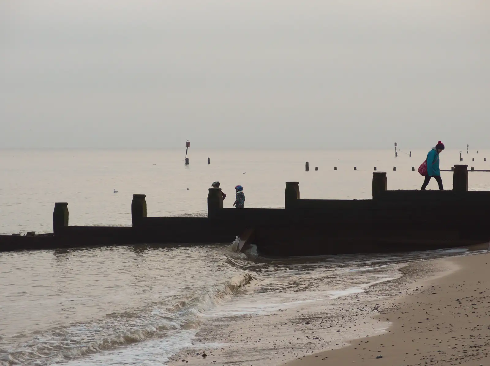 Isobel roams by the groynes, from Southwold Seaside Pier, Southwold, Suffolk - 18th December 2016