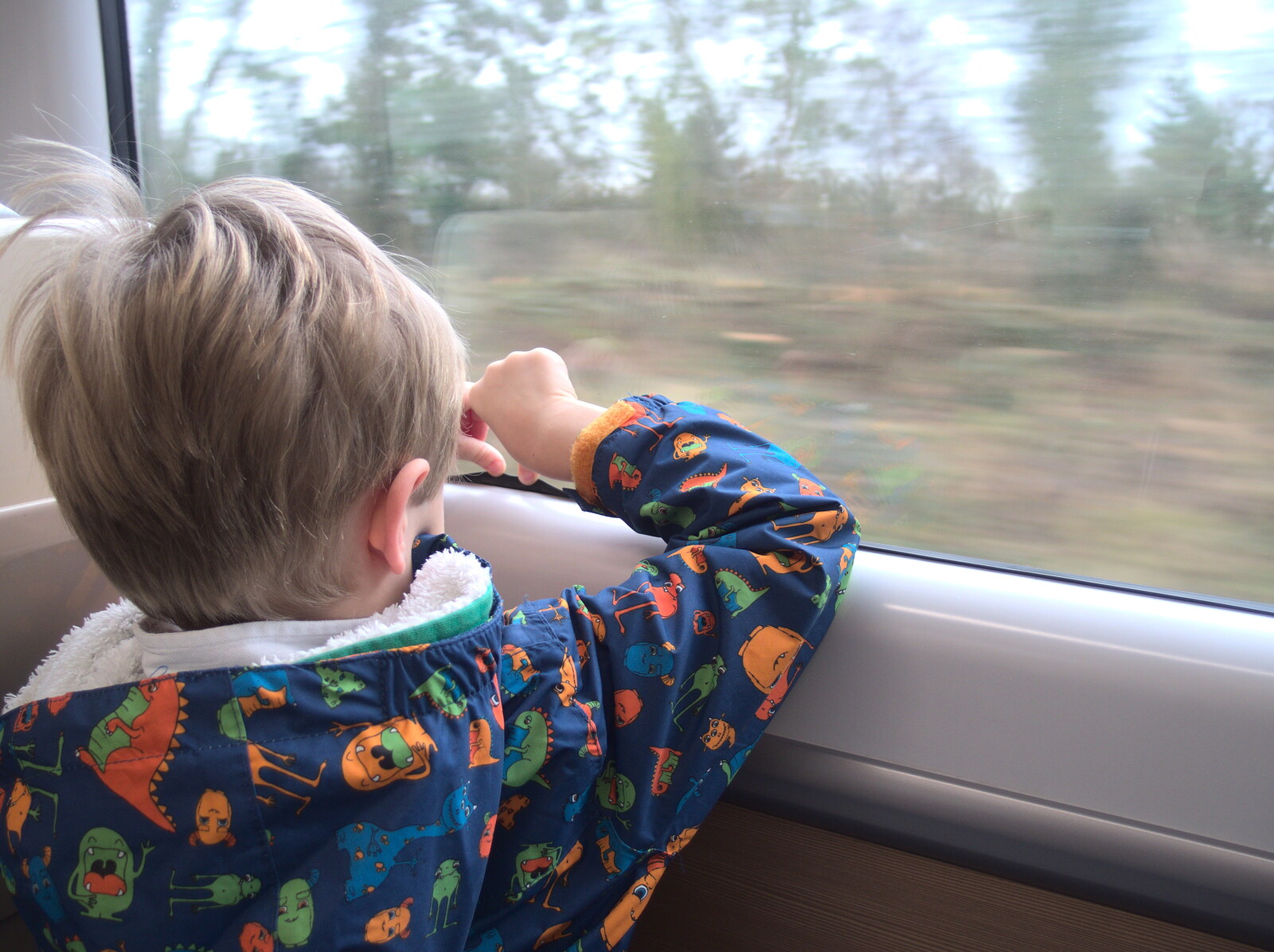 Harry on the train up to Norwich from Norwich Station and the Light Tunnel, Norwich, Norfolk  - 21st December 2016