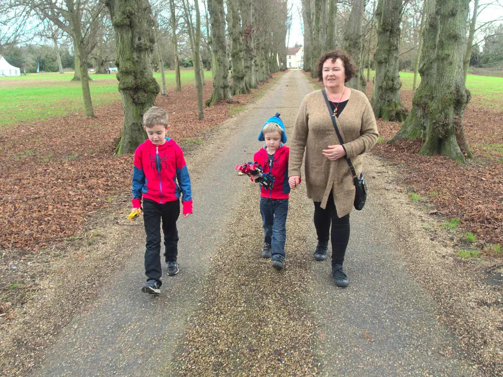 Harry walks with Da Wheeze, from Christmas and All That, Brome, Suffolk - 25th December 2016