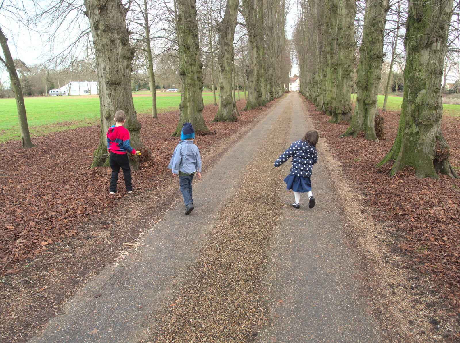 The kids on Oaksmere's drive from Christmas and All That, Brome, Suffolk - 25th December 2016