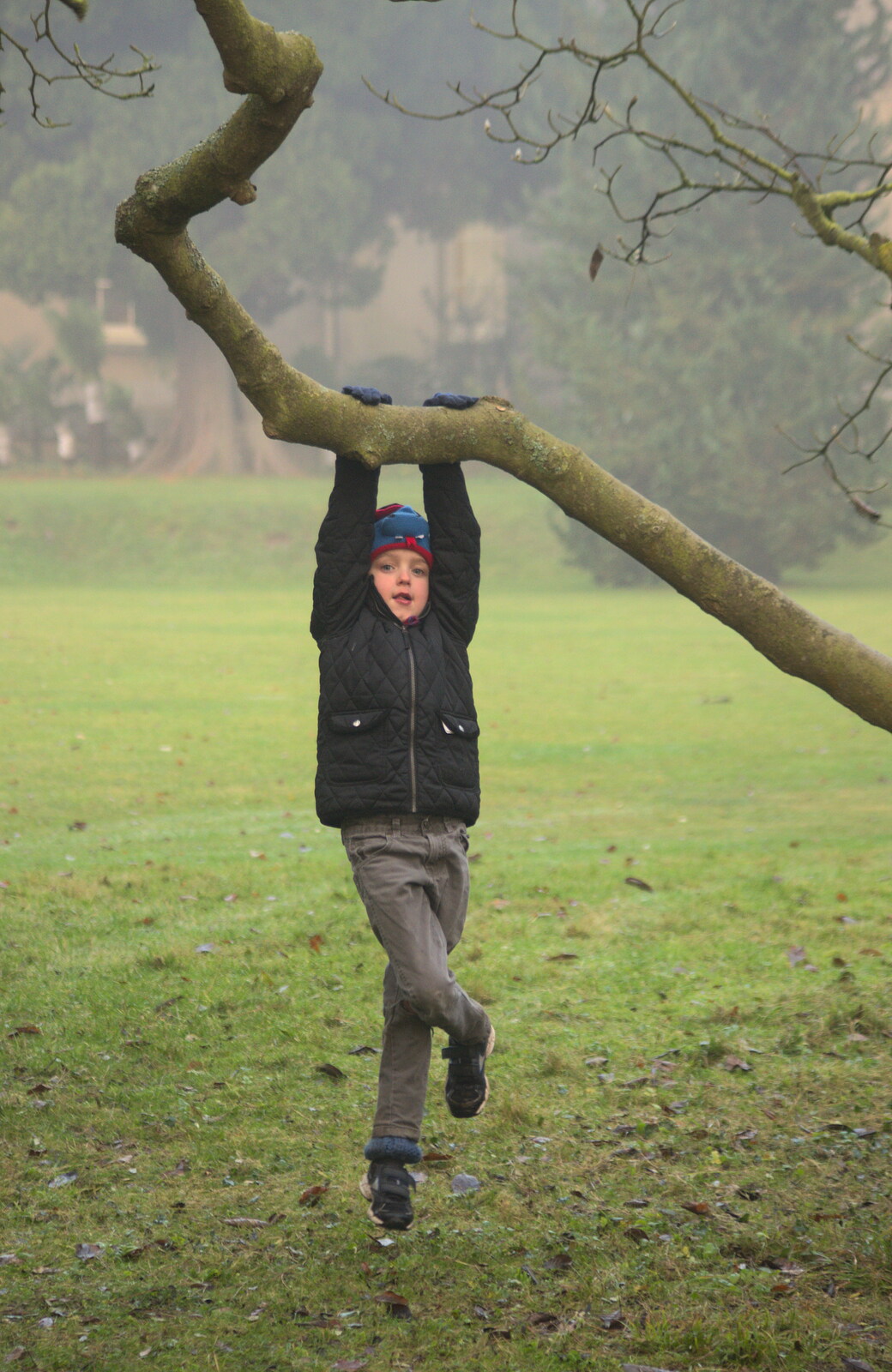 Fred hangs from a tree from A Trip to Ickworth House, Horringer, Suffolk - 30th December 2016