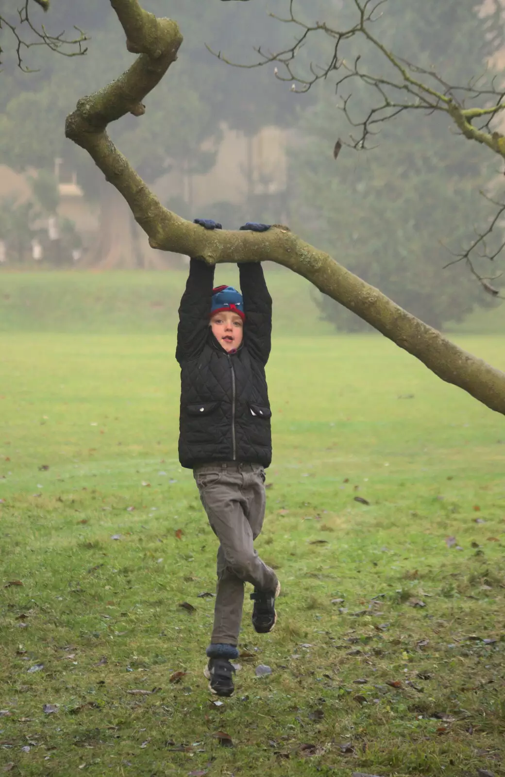 Fred hangs from a tree, from A Trip to Ickworth House, Horringer, Suffolk - 30th December 2016