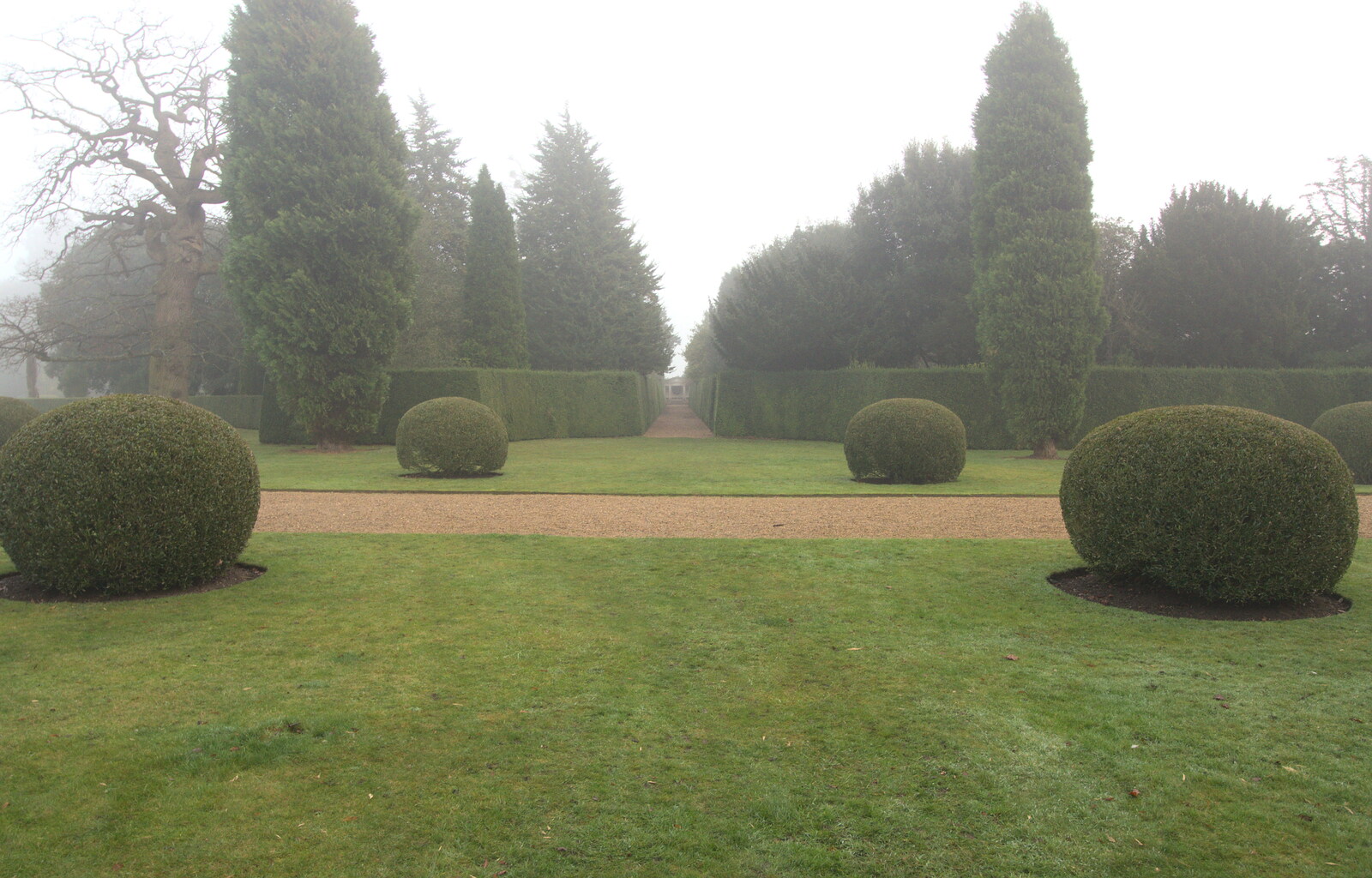 Topiary balls from A Trip to Ickworth House, Horringer, Suffolk - 30th December 2016