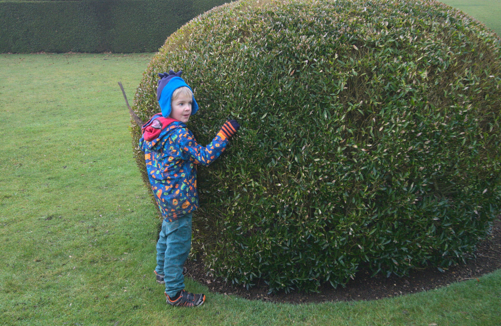 Harry hugs a hedge from A Trip to Ickworth House, Horringer, Suffolk - 30th December 2016