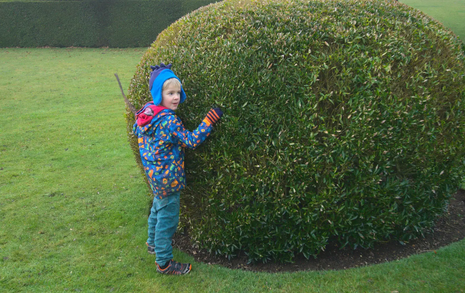 Harry hugs a hedge, from A Trip to Ickworth House, Horringer, Suffolk - 30th December 2016