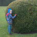 Harry hugs a hedge, A Trip to Ickworth House, Horringer, Suffolk - 30th December 2016