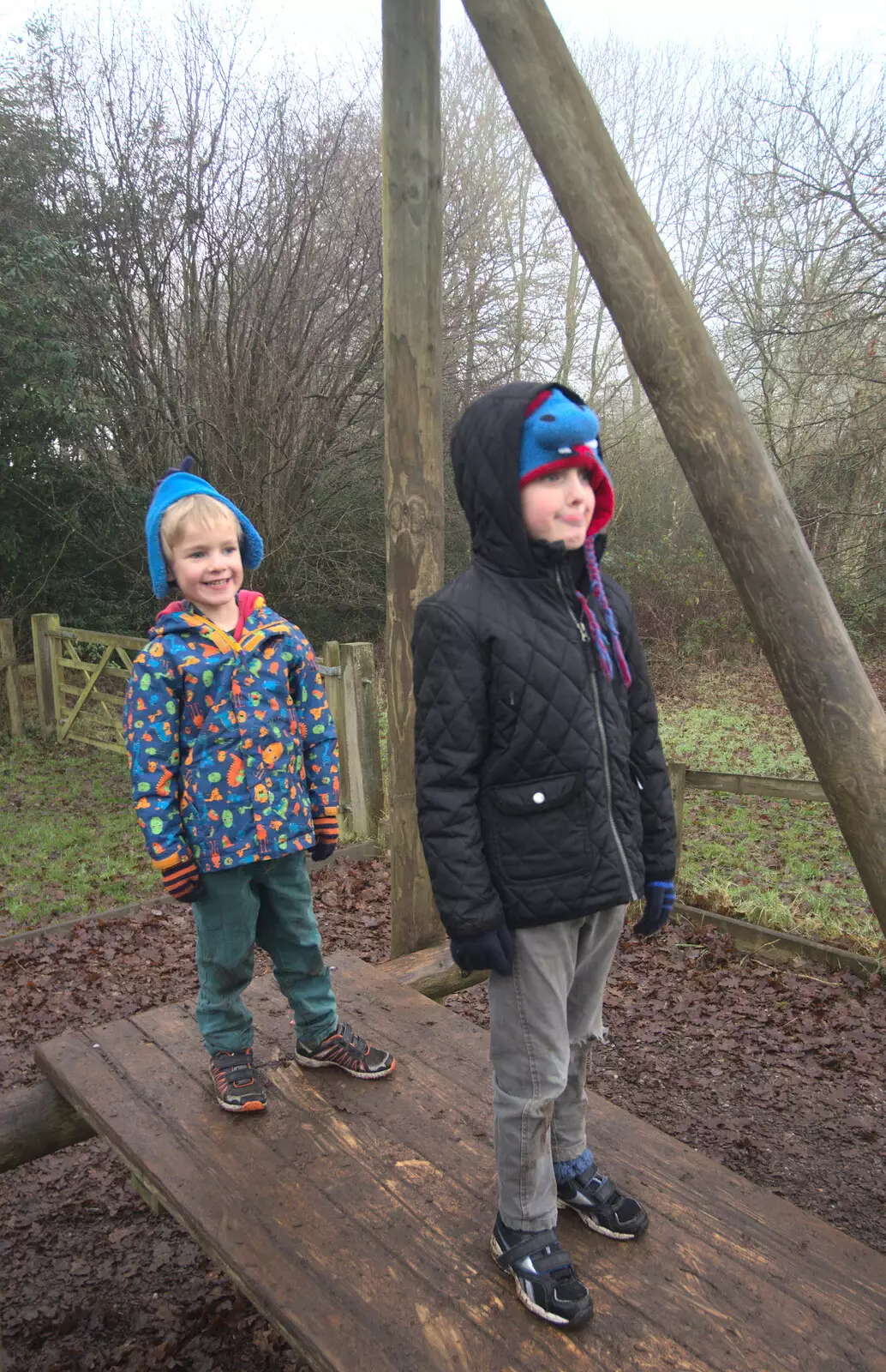 Harry and Fred find a zipwire, from A Trip to Ickworth House, Horringer, Suffolk - 30th December 2016