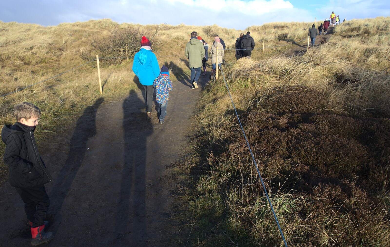 We follow the herds up to the top of the dunes from Horsey Seals and Sea Palling, Norfolk Coast - 2nd January 2017