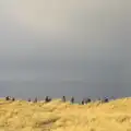 People on the clifftop, Horsey Seals and Sea Palling, Norfolk Coast - 2nd January 2017