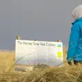 Isobel reads about the Horsey grey seals, Horsey Seals and Sea Palling, Norfolk Coast - 2nd January 2017