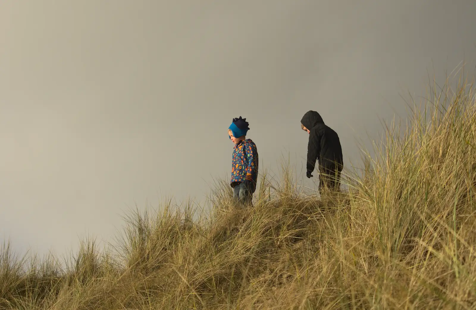 Harry and Fred on the dunes, from Horsey Seals and Sea Palling, Norfolk Coast - 2nd January 2017