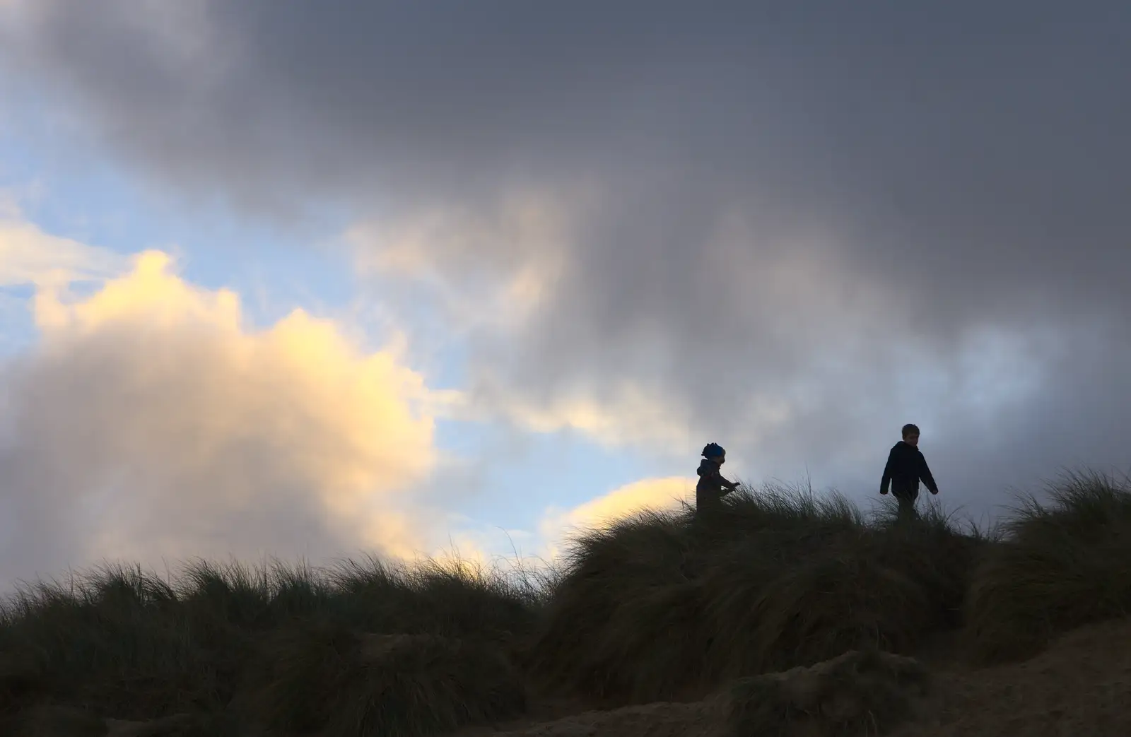 Harry and Fred, from Horsey Seals and Sea Palling, Norfolk Coast - 2nd January 2017