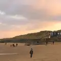 Harry roams the beach, Horsey Seals and Sea Palling, Norfolk Coast - 2nd January 2017