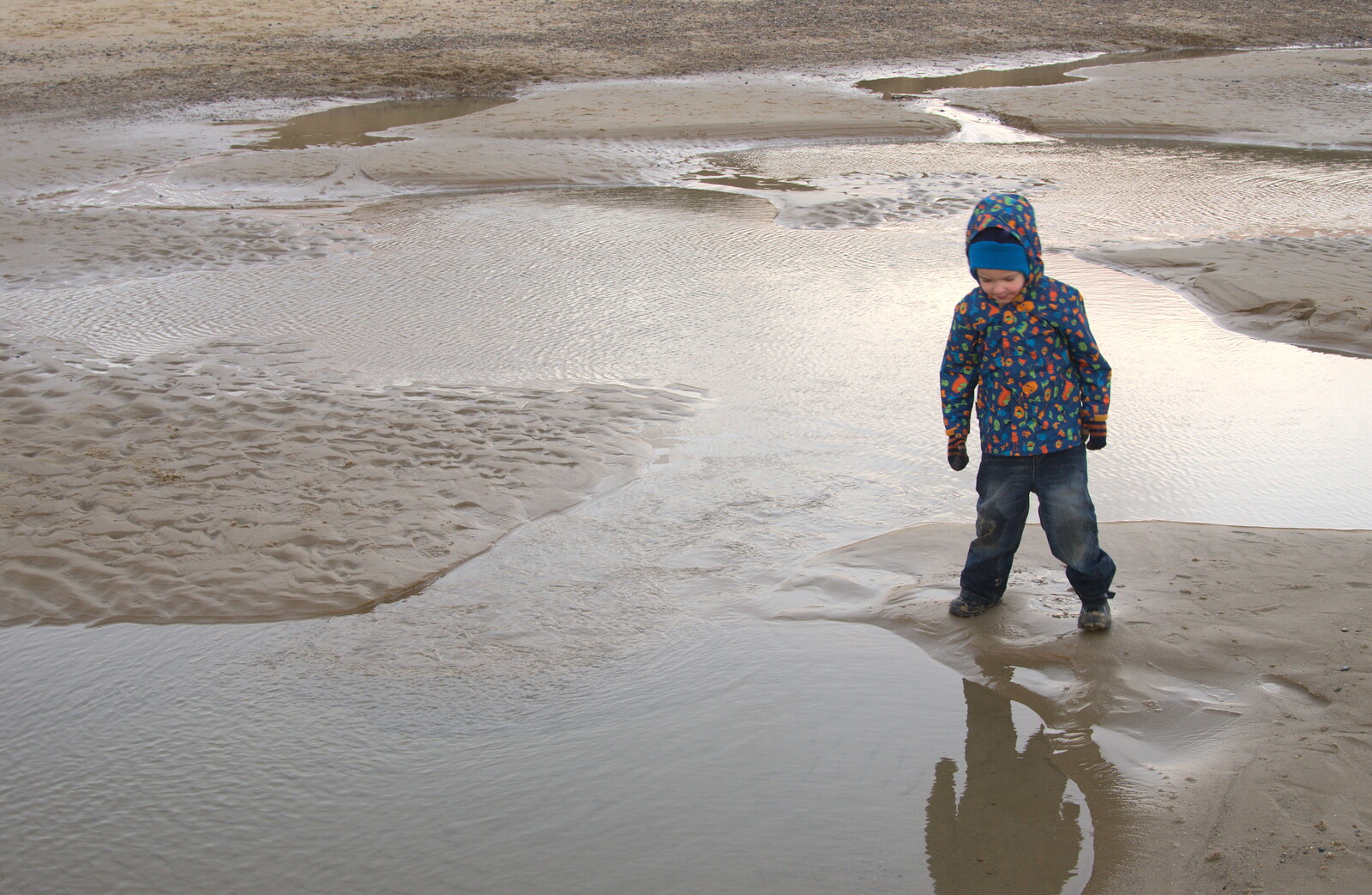 Harry in the stream from Horsey Seals and Sea Palling, Norfolk Coast - 2nd January 2017