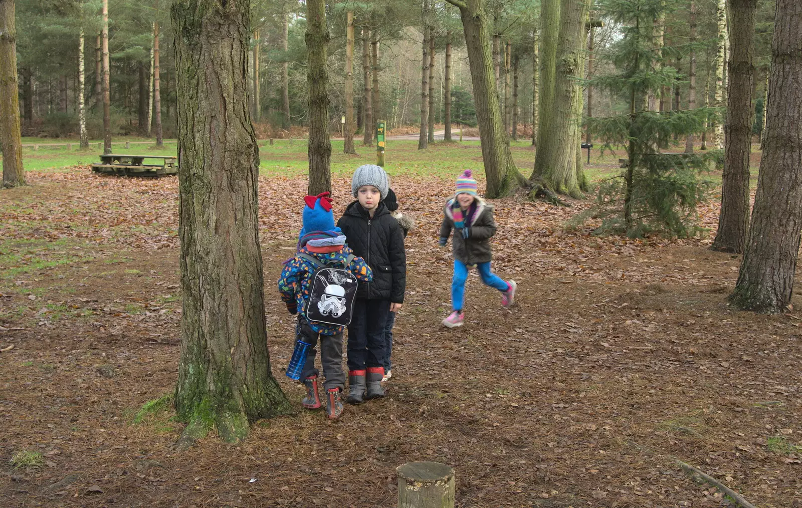 Fred looks glum for a bit, from A Day at High Lodge, Brandon, Suffolk - 3rd January 2017