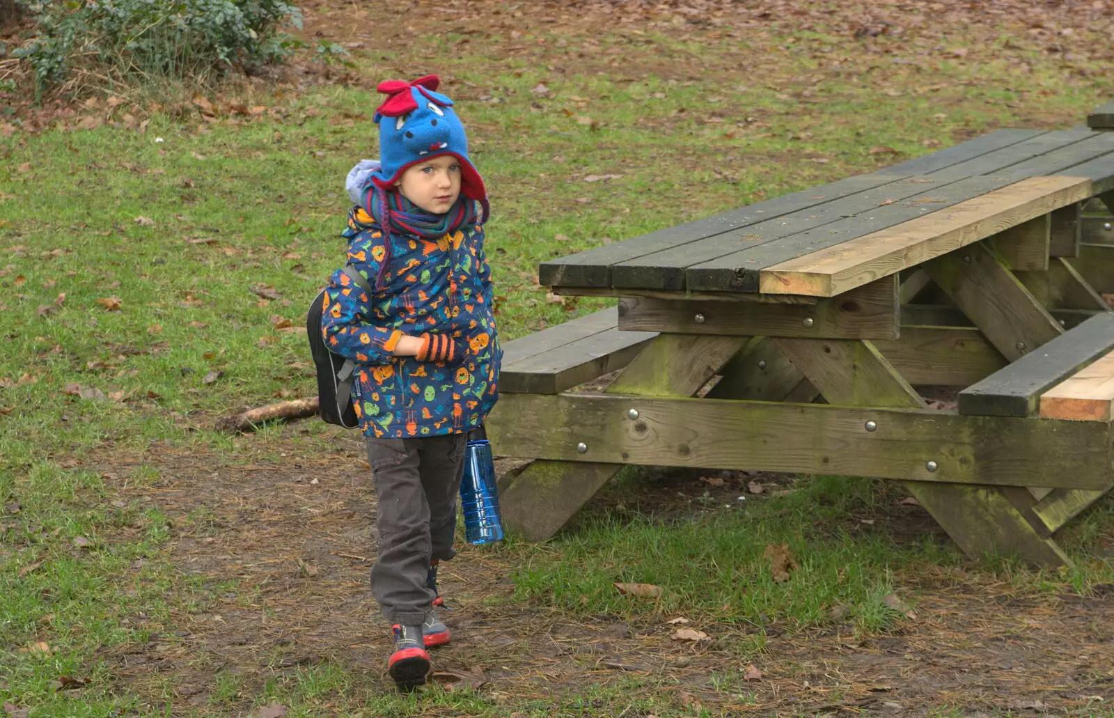 Harry roams around, from A Day at High Lodge, Brandon, Suffolk - 3rd January 2017