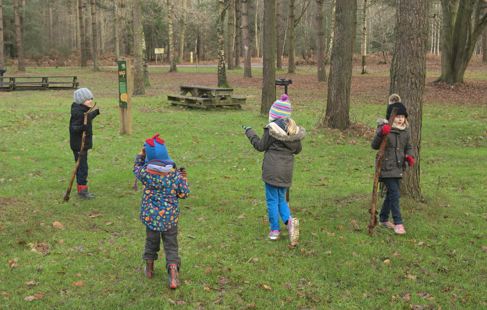 Everyone's got a stick from A Day at High Lodge, Brandon, Suffolk - 3rd January 2017