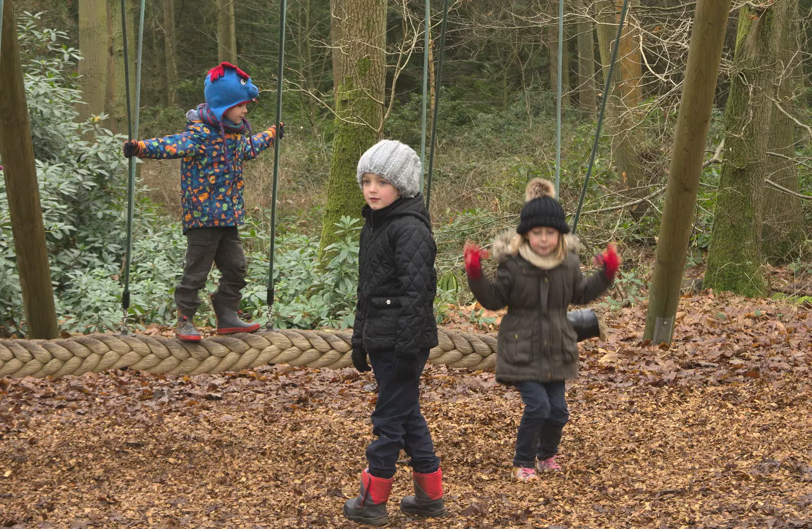 Harry's on the rope swing, from A Day at High Lodge, Brandon, Suffolk - 3rd January 2017