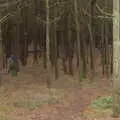 The children run off into the woods, A Day at High Lodge, Brandon, Suffolk - 3rd January 2017