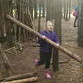 Alice hauls over a small branch, A Day at High Lodge, Brandon, Suffolk - 3rd January 2017