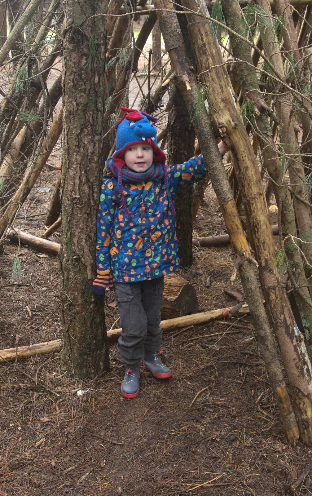 Harry in the den, from A Day at High Lodge, Brandon, Suffolk - 3rd January 2017