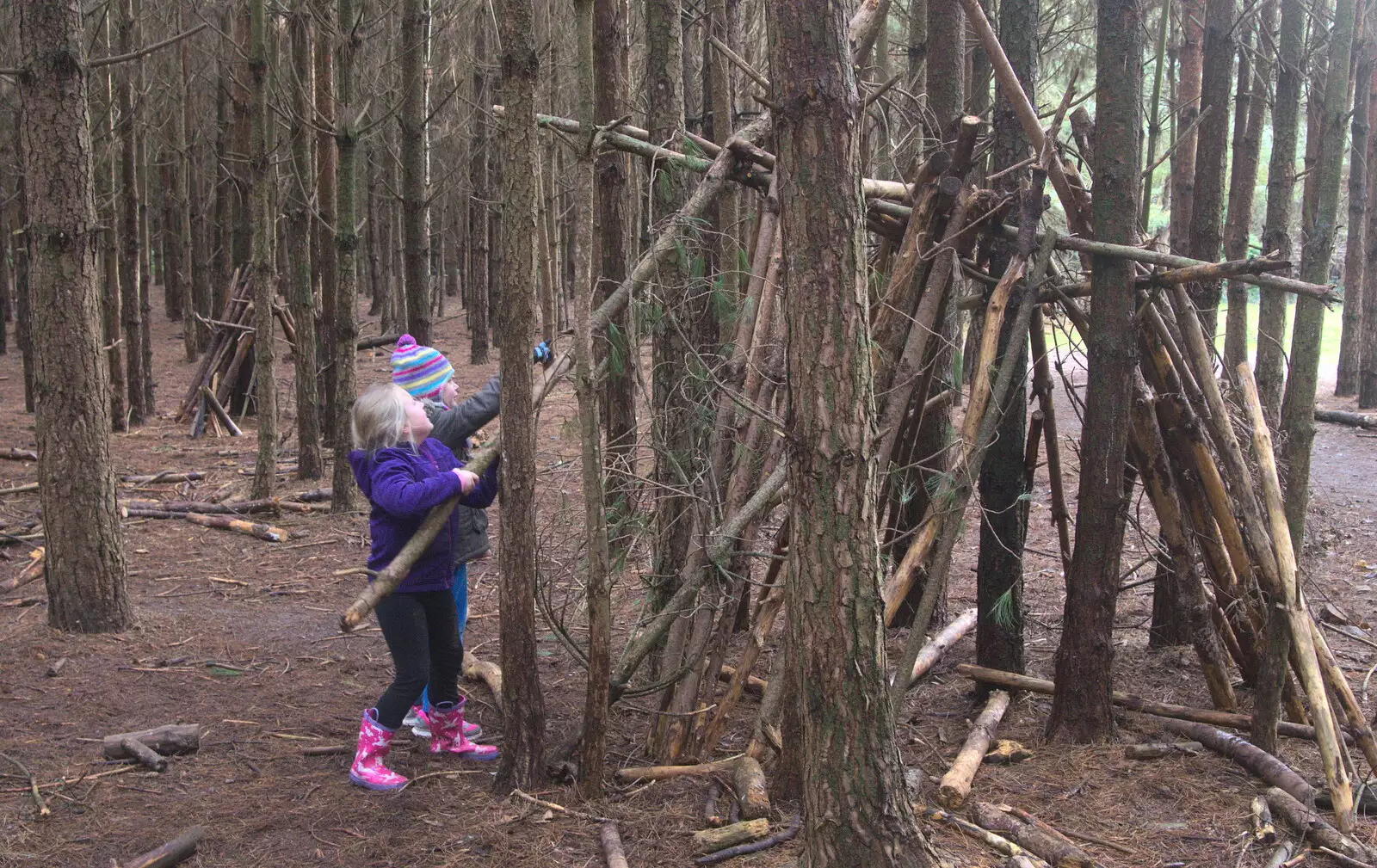 Alice adds more branches, from A Day at High Lodge, Brandon, Suffolk - 3rd January 2017