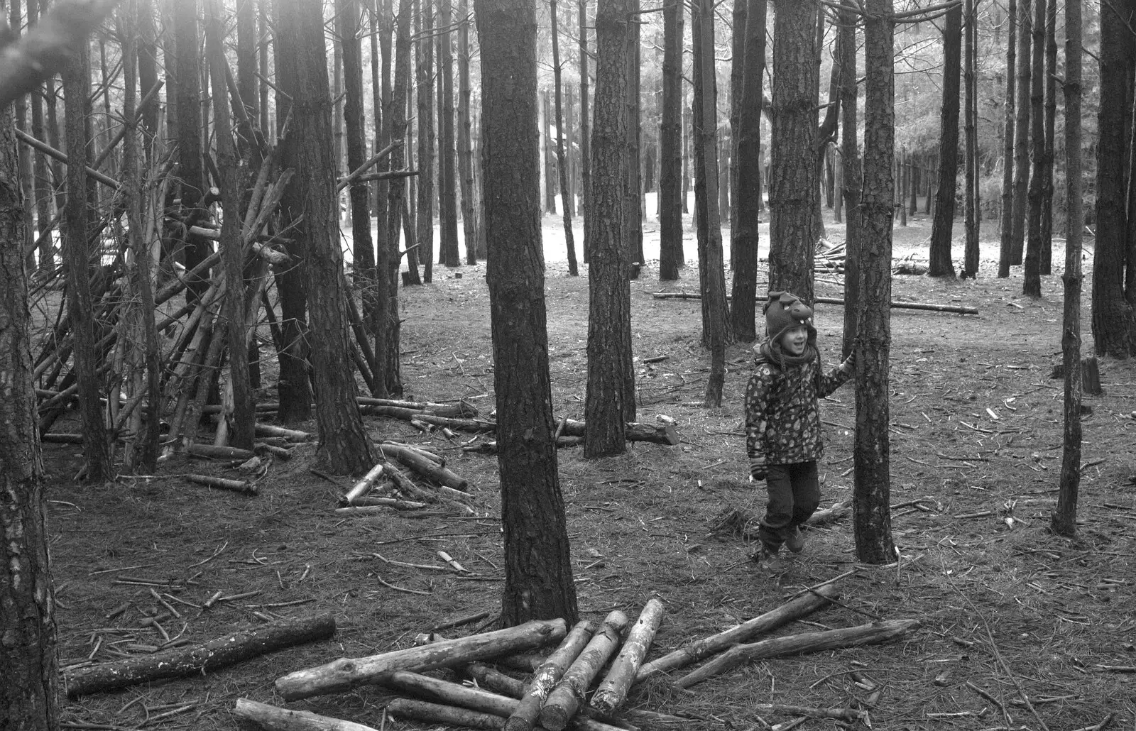 Harry in the woods, from A Day at High Lodge, Brandon, Suffolk - 3rd January 2017