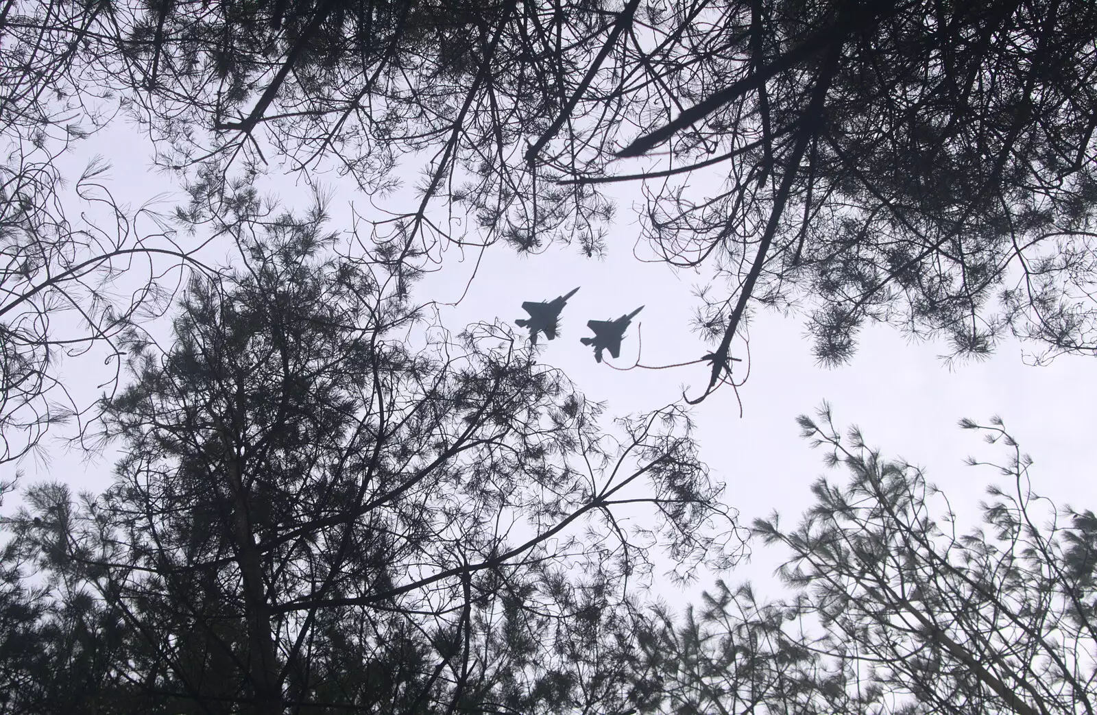 A pair of F-18s roars overhead, from A Day at High Lodge, Brandon, Suffolk - 3rd January 2017