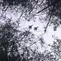 A pair of F-18s roars overhead, A Day at High Lodge, Brandon, Suffolk - 3rd January 2017