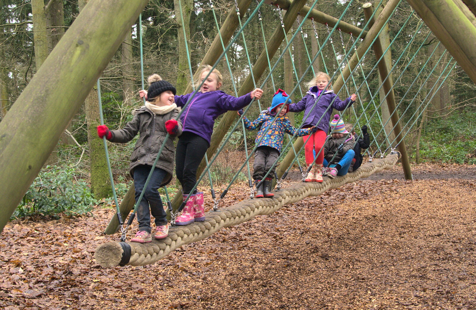 The children are all on a massive swing from A Day at High Lodge, Brandon, Suffolk - 3rd January 2017