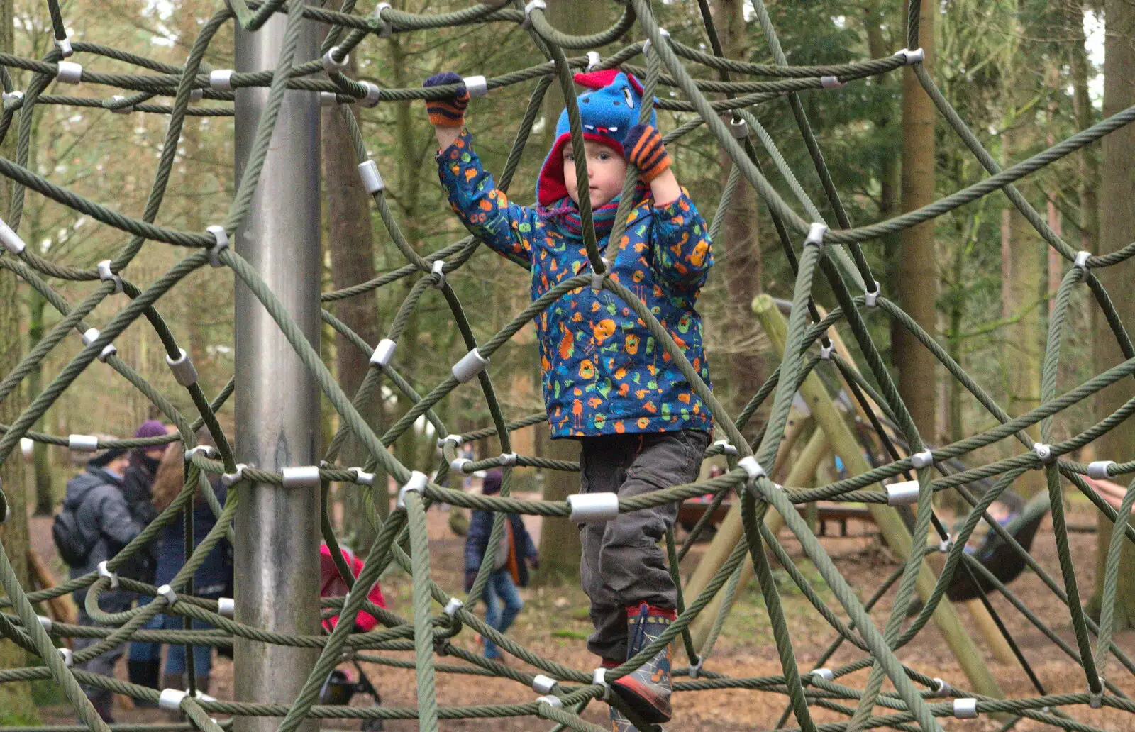 Harry in a tangled rope pyramid, from A Day at High Lodge, Brandon, Suffolk - 3rd January 2017