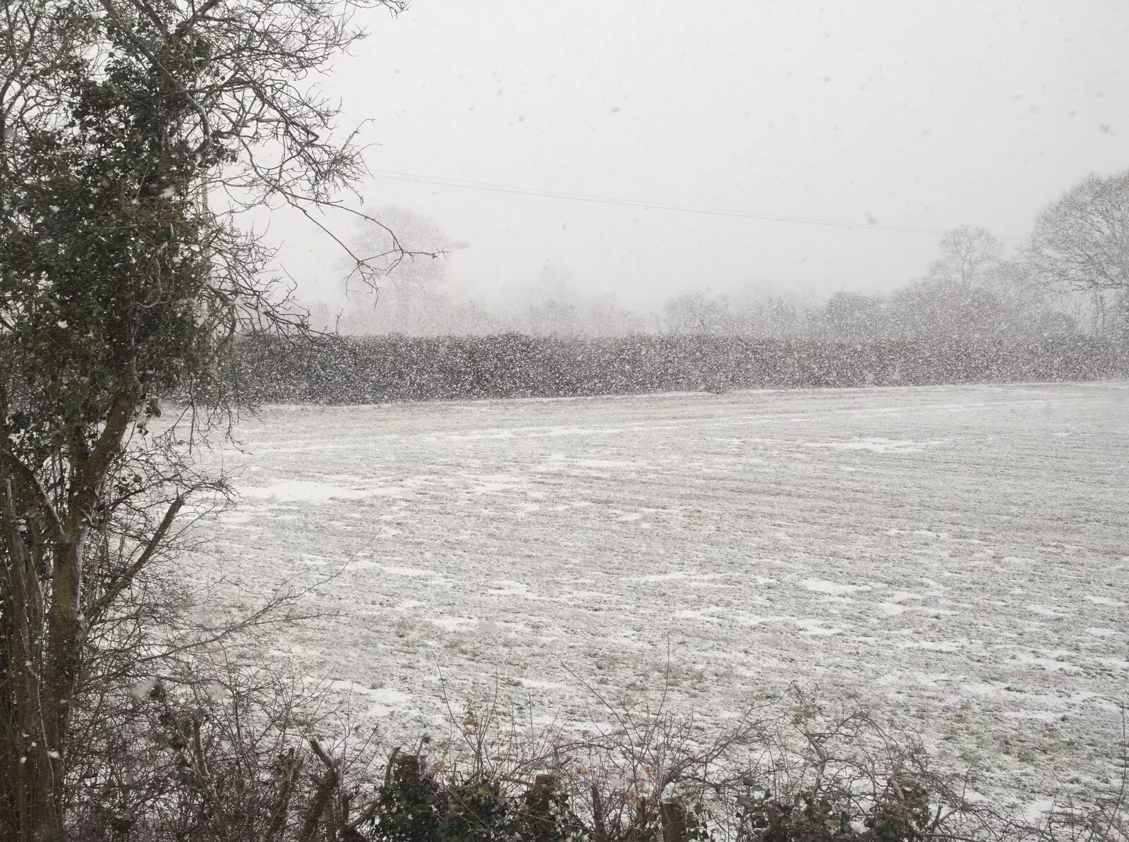 A blizzard in the side field, from A Snowy January Miscellany, Eye, Suffolk - 15th January 2017